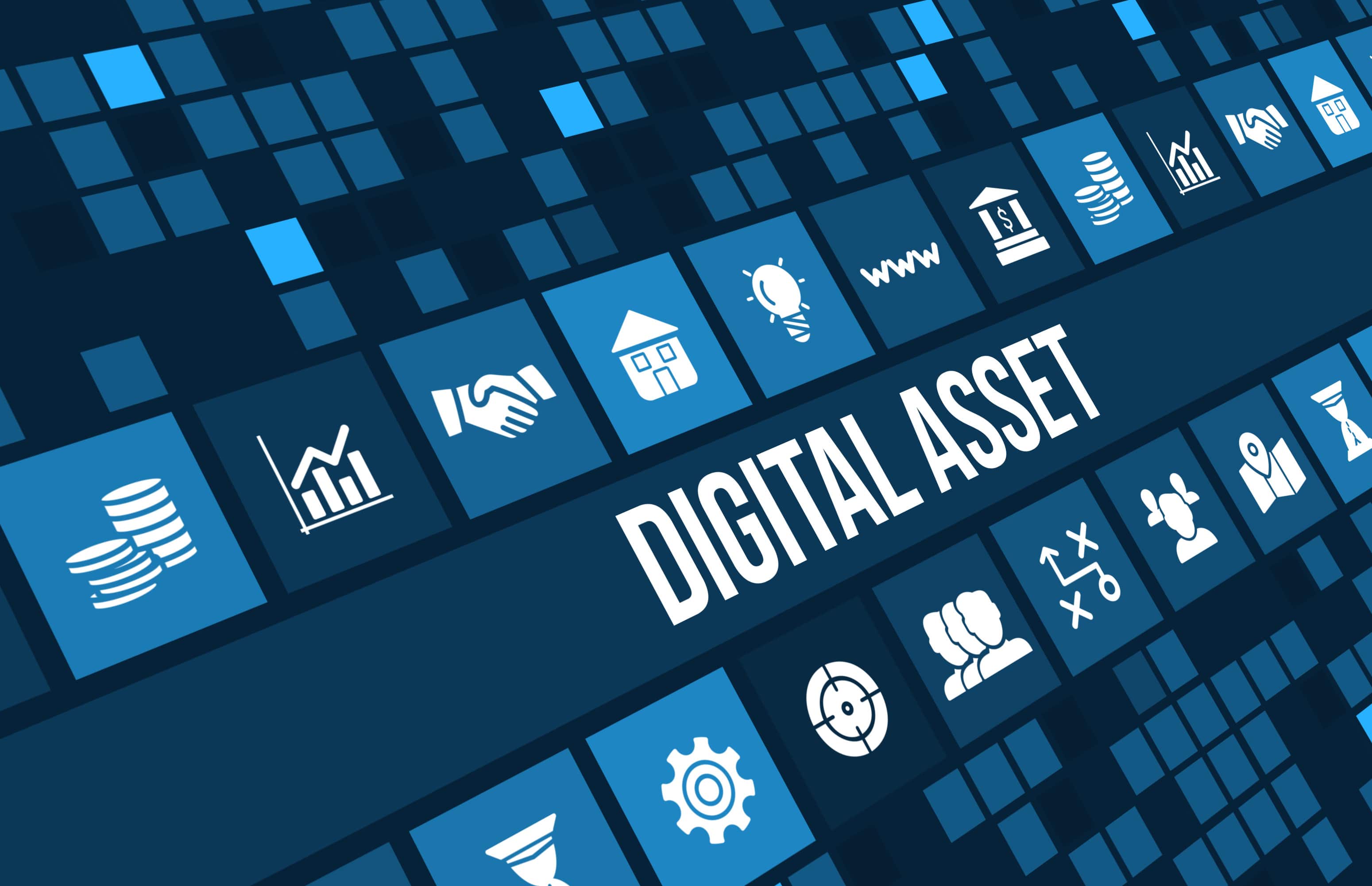 Taxonomy of Digital Assets