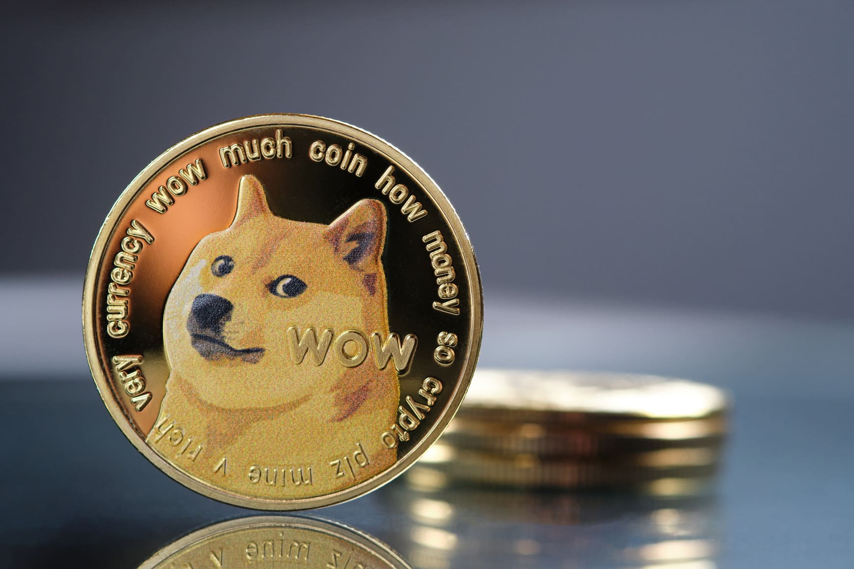 Dogecoin price zooms 8% after Musk’s tweet of support