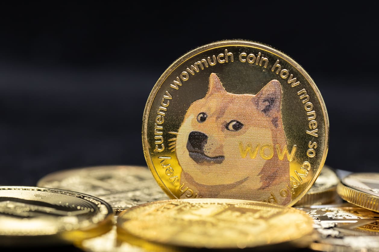 Musk’s Twitter Logo Change Boosts Dogecoin