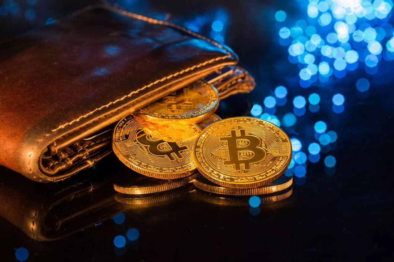 Bitcoin Wallets Soars 65% in Profit