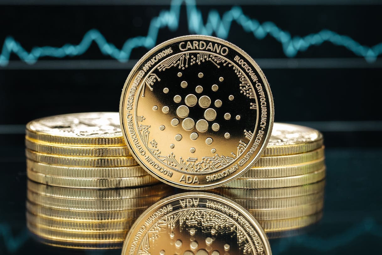Cardano’s On-Chain Activity Defies Expectations Despite Price Decline 