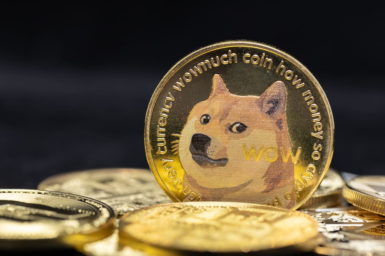 DOGE Sees Surge in Wallets and User Activity